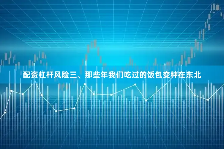 配资杠杆风险三、那些年我们吃过的饭包变种在东北